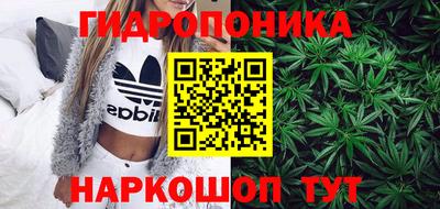 прущие крисы Нальчик