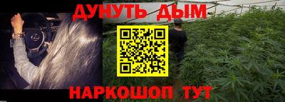 прущие крисы Нальчик