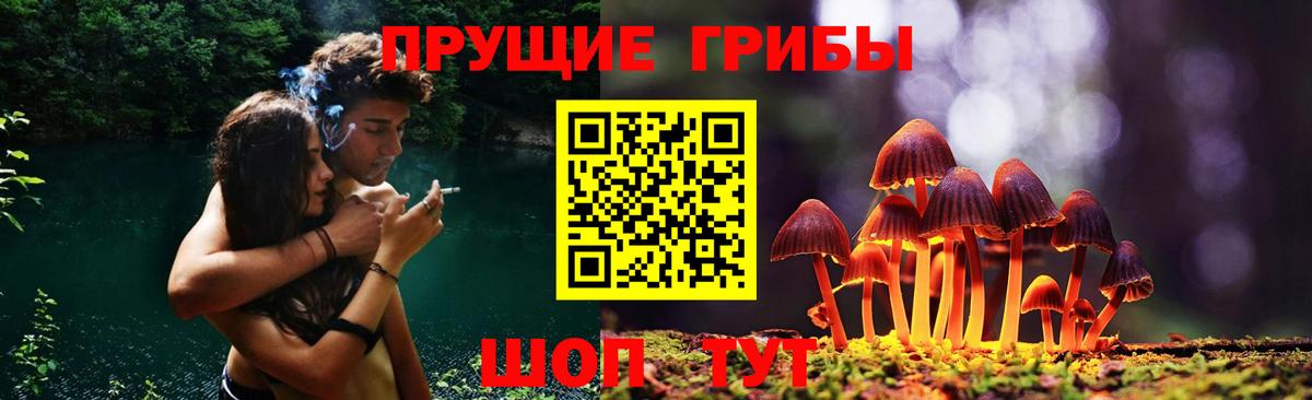 Псилоцибиновые грибы мицелий Великий Устюг